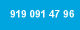 919 091 47 96 919 091 47 96